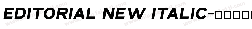 Editorial New Italic字体转换